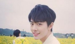 娱乐圈爆料肖战沈梦辰,肖战沈梦辰娱乐圈恋情曝光？